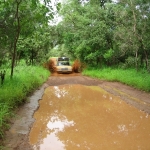 Niokolo Park -  - Senegal