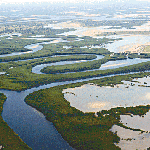 Saloun River Delta - Dakar - Senegal